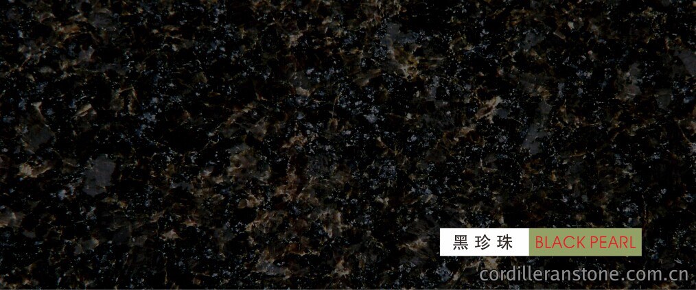 黑珍珠